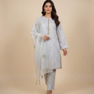 Light Grey Embroidered Suit
